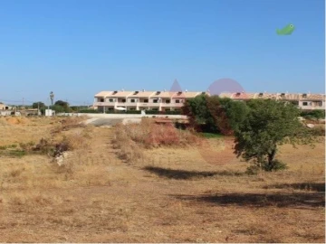 Terreno para Venda em Ferreiras