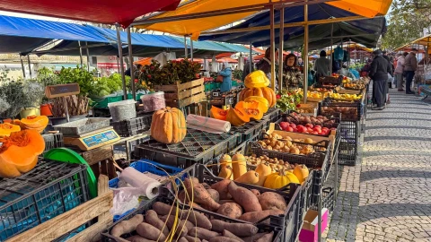 Terreno para Venda em Nadadouro
