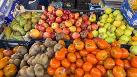 Terreno para Venda em Nadadouro