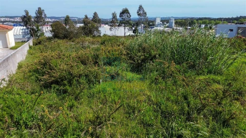 Terreno para Venda em Nadadouro