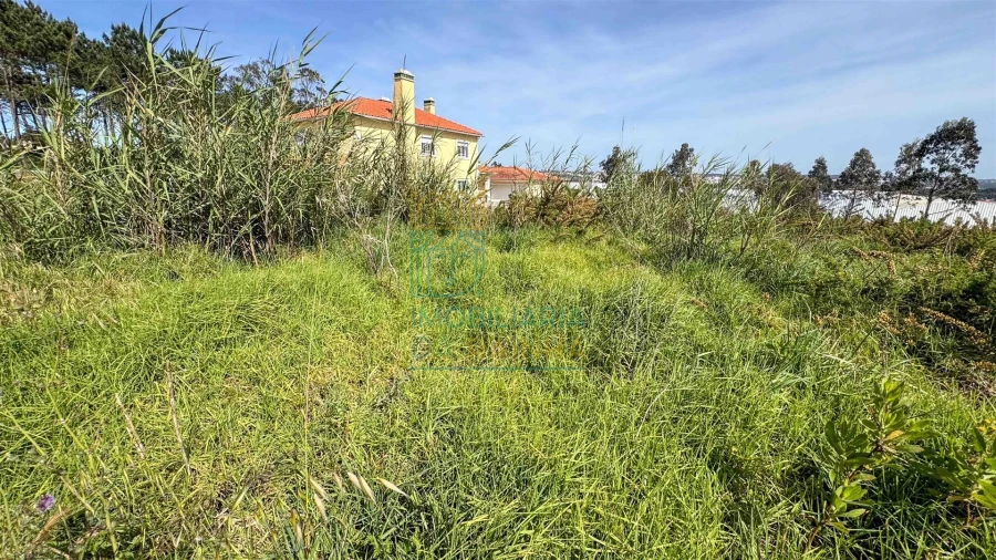 Terreno para Venda em Nadadouro Foto 9