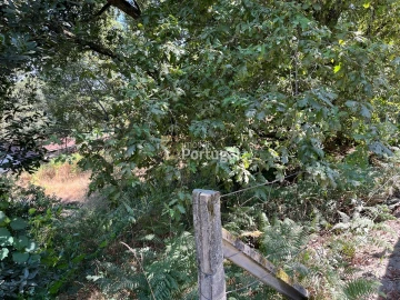 Terreno para Venda em Gême