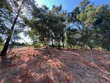 Terreno para Venda em Gême