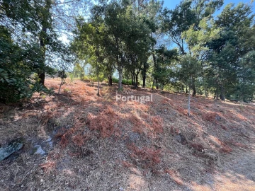 Terreno para Venda em Gême