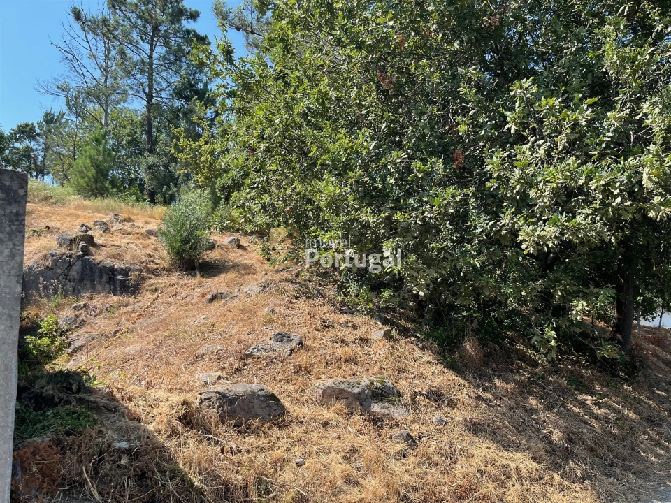 Terreno para Venda em Gême Foto 9