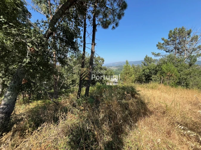 Terreno para Venda em Gême Foto 5