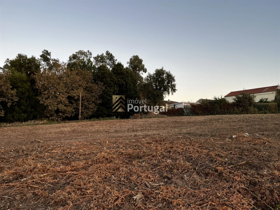 Terreno para Venda em Lago Foto 13