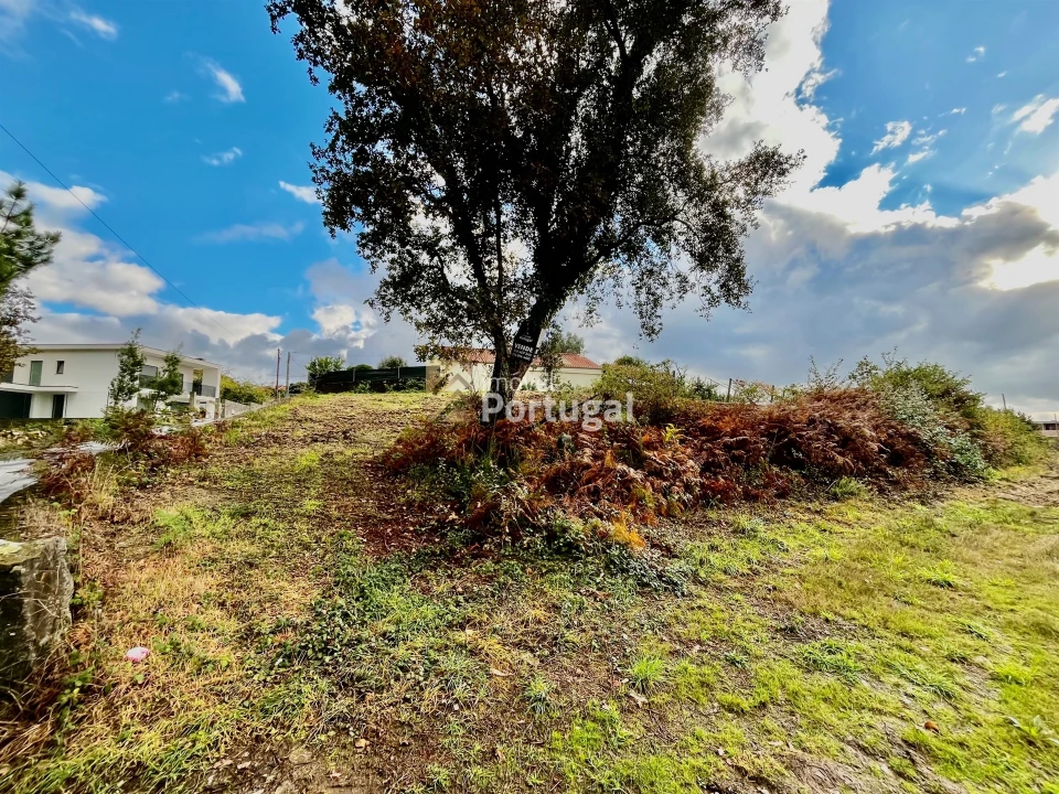 Terreno para Venda em Lago Foto 4