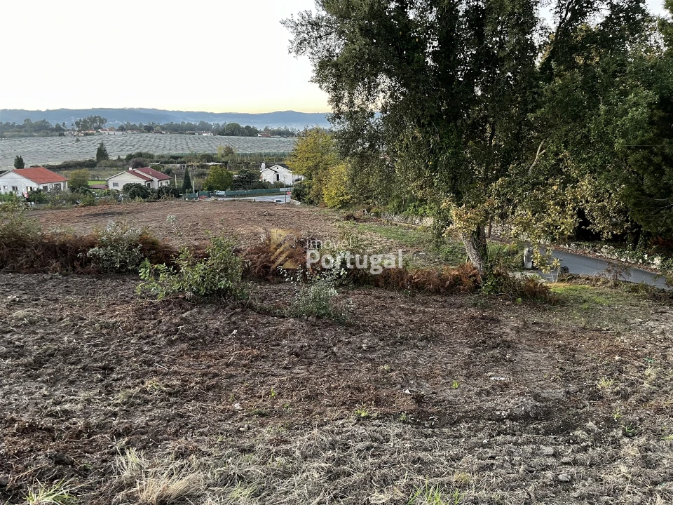 Terreno para Venda em Lago Foto 7