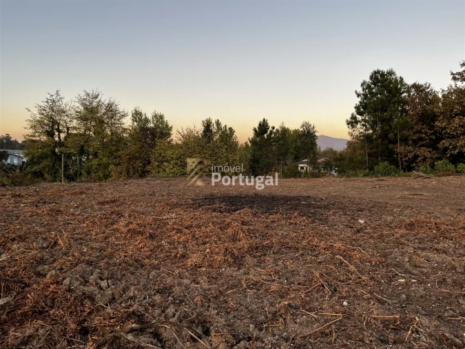 Terreno para Venda em Lago Foto 14