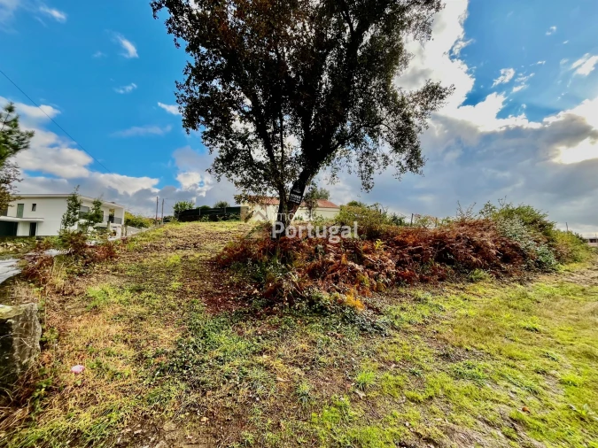 Terreno para Venda em Lago Foto 4