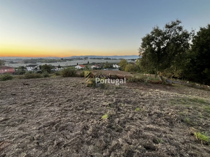 Terreno para Venda em Lago Foto 19