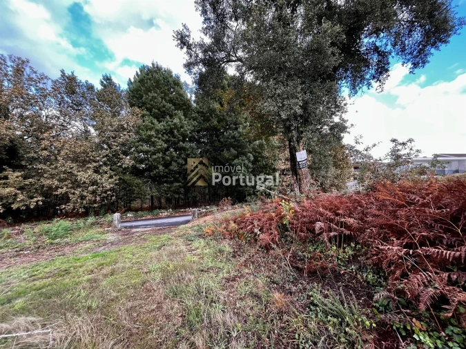 Terreno para Venda em Lago Foto 11