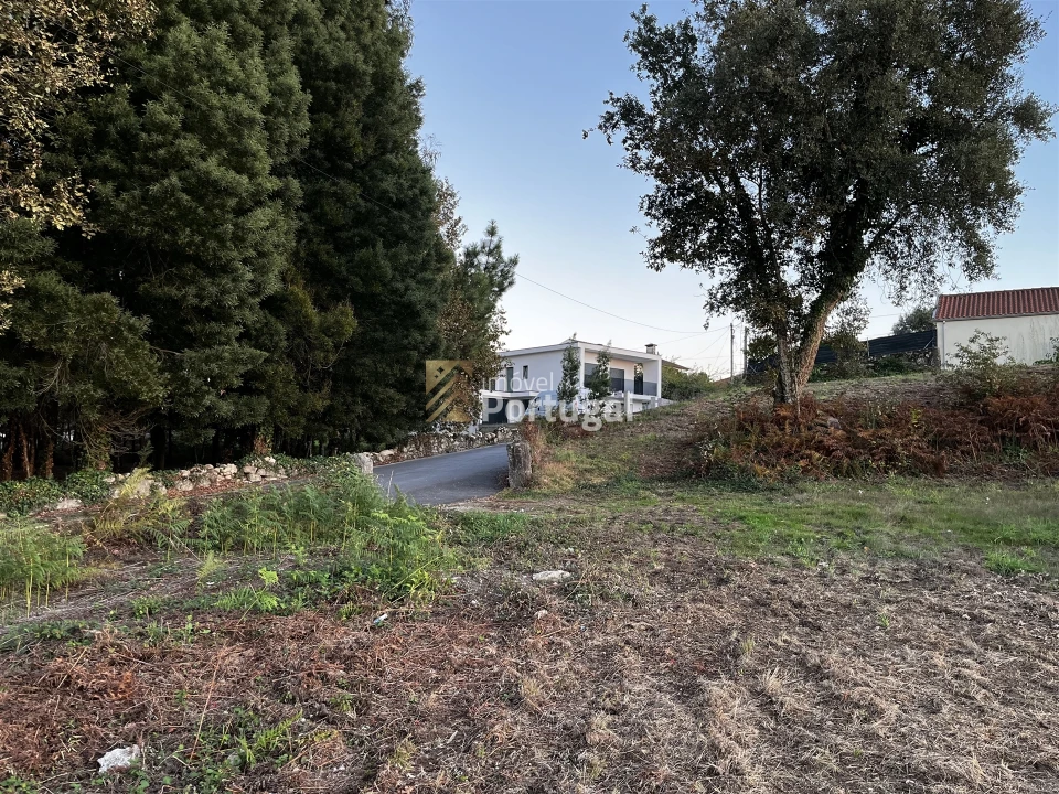 Terreno para Venda em Lago Foto 15