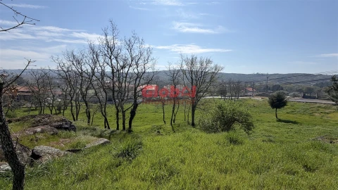 Terreno para Venda em Quintela de Azurara