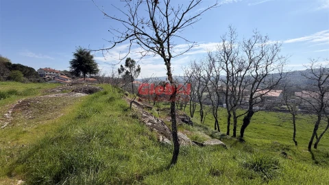 Terreno para Venda em Quintela de Azurara