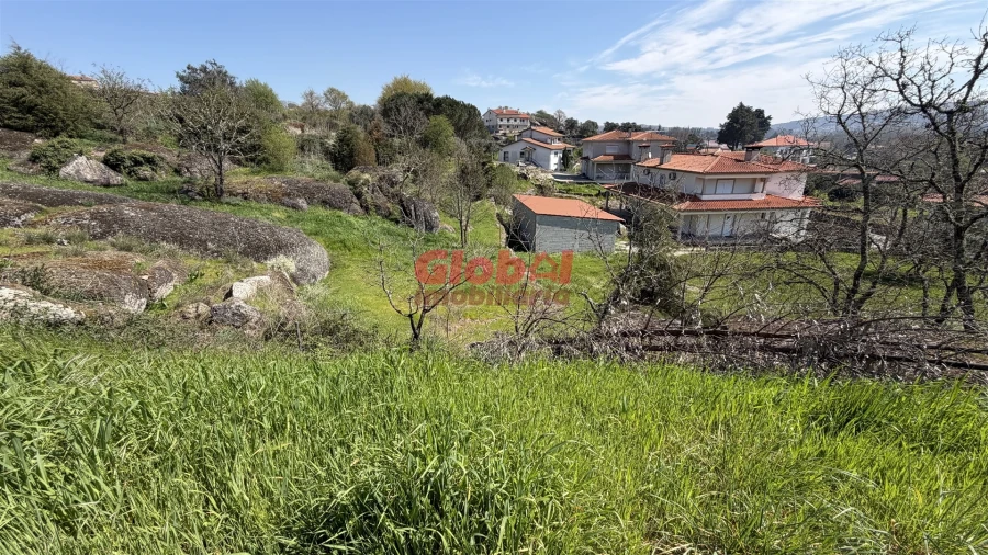 Terreno para Venda em Quintela de Azurara Foto 9