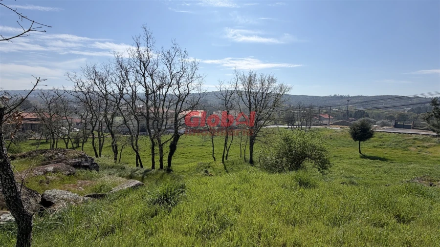Terreno para Venda em Quintela de Azurara Foto 6