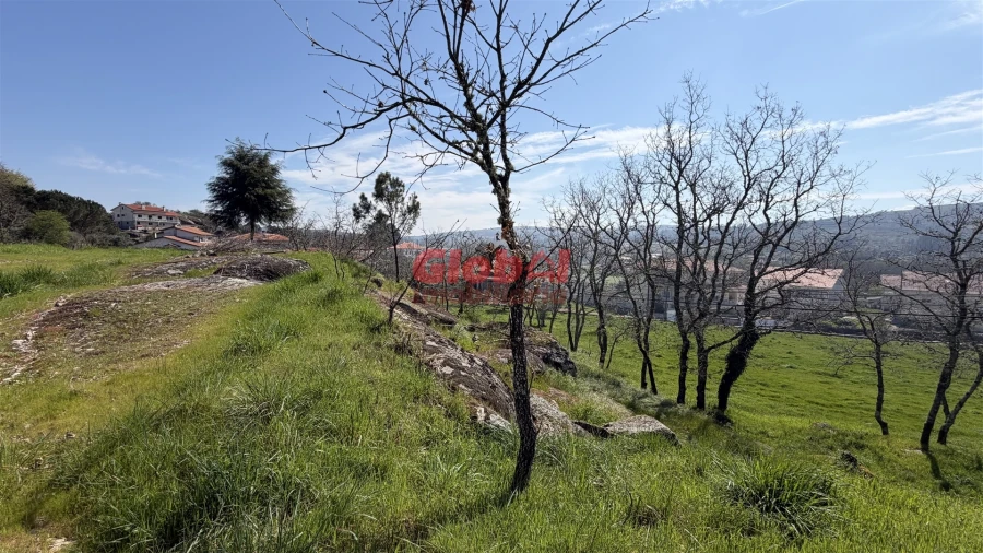 Terreno para Venda em Quintela de Azurara Foto 5