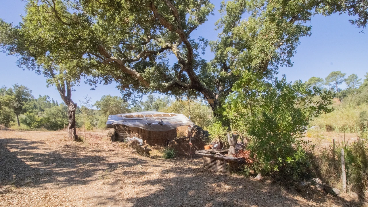 Quinta T4 para Venda em Rogil Foto 11