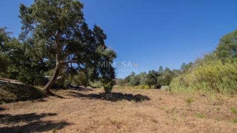 Quinta T4 para Venda em Rogil