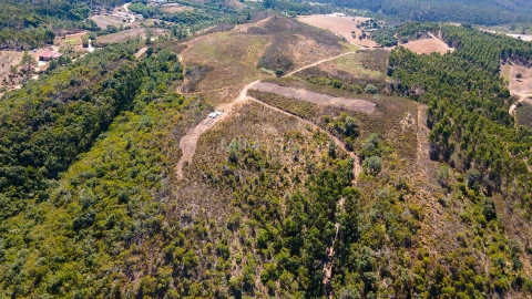 Quinta T4 para Venda em Rogil