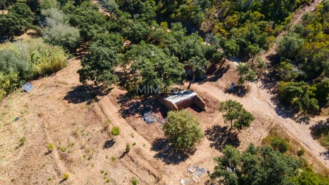 Quinta T4 para Venda em Rogil