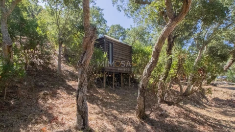 Quinta T4 para Venda em Rogil