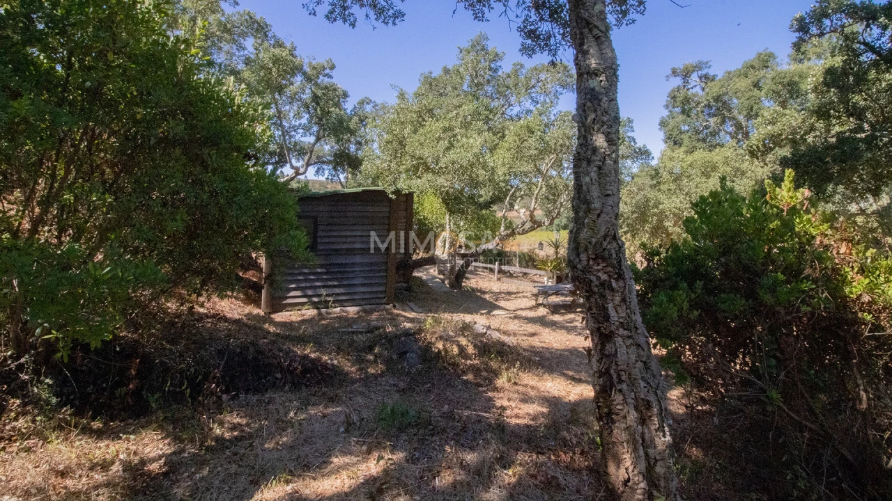 Quinta T4 para Venda em Rogil Foto 10