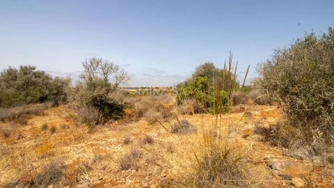 Terreno Misto para Venda em Luz