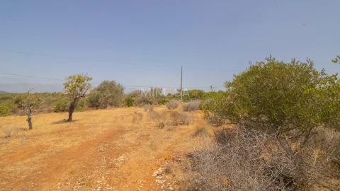 Terreno Misto para Venda em Luz