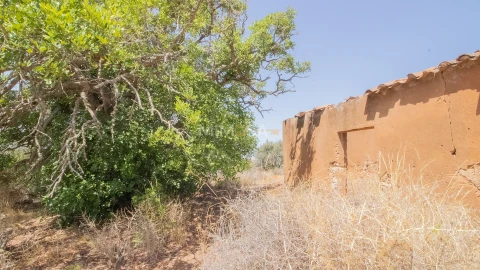 Terreno Misto para Venda em Luz