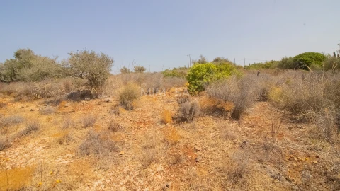 Terreno Misto para Venda em Luz