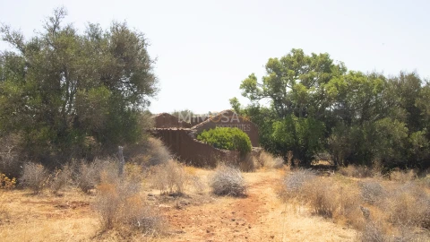 Terreno Misto para Venda em Luz