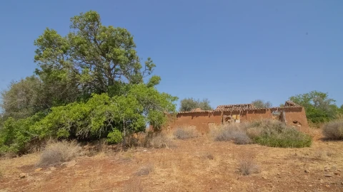 Terreno Misto para Venda em Luz