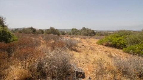 Terreno Misto para Venda em Luz