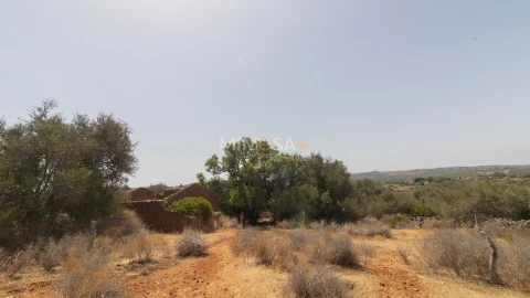 Terreno Misto para Venda em Luz