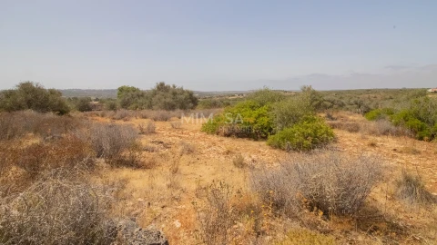 Terreno Misto para Venda em Luz