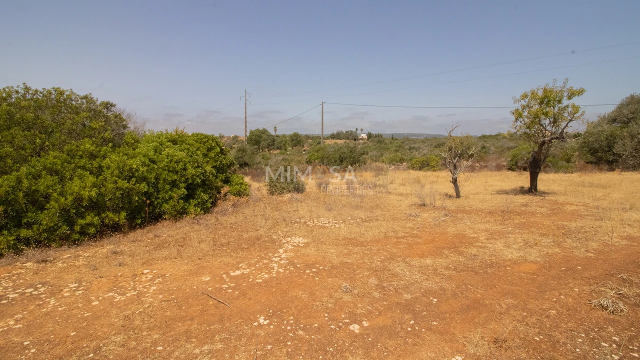 Terreno Misto para Venda em Luz Foto 16