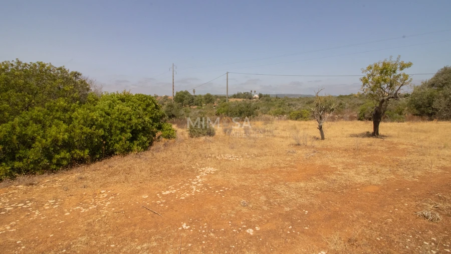 Terreno Misto para Venda em Luz Foto 16