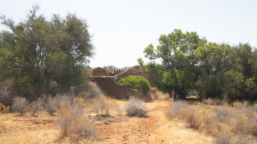Terreno Misto para Venda em Luz Foto 13