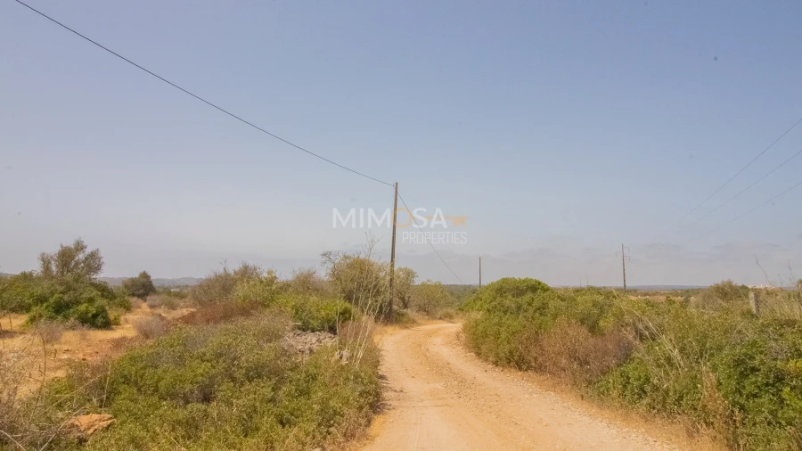 Terreno Misto para Venda em Luz Foto 18