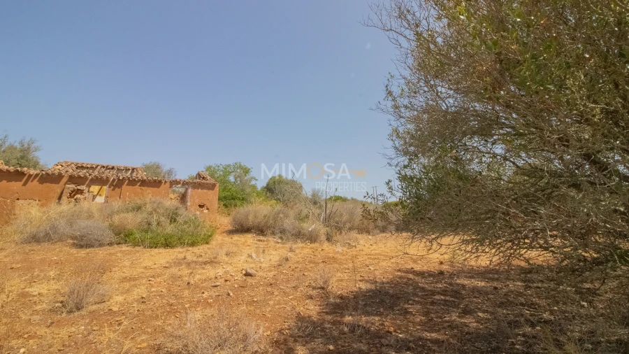 Terreno Misto para Venda em Luz Foto 4