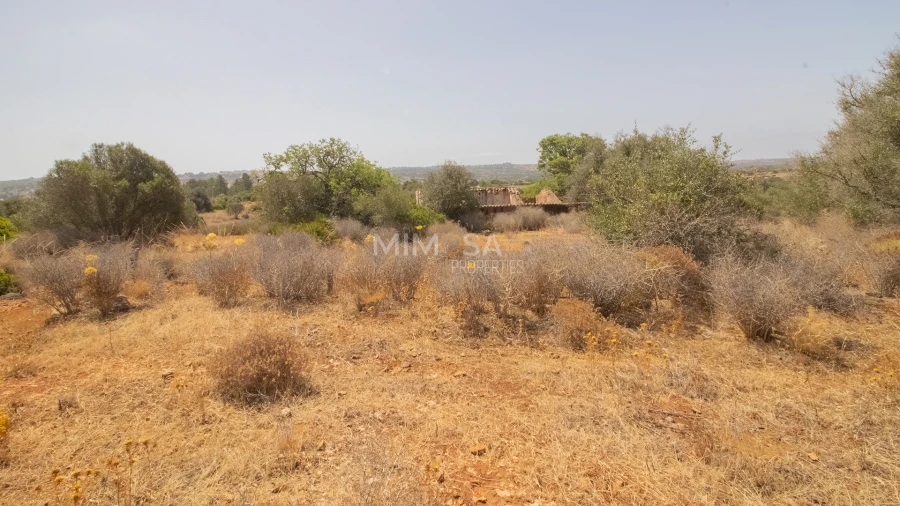 Terreno Misto para Venda em Luz Foto 7