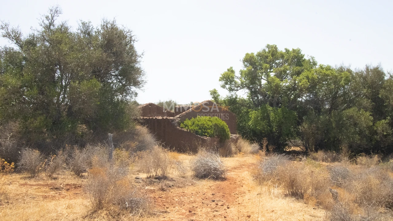 Terreno Misto para Venda em Luz Foto 13