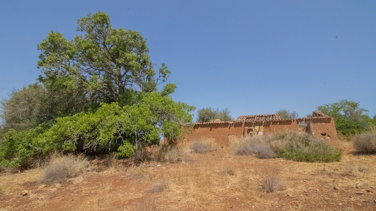 Terreno Misto para Venda em Luz Foto 1