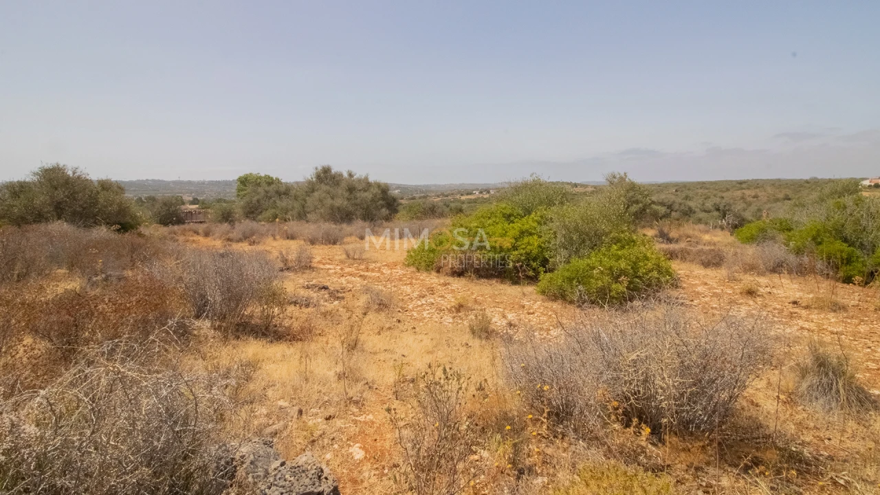 Terreno Misto para Venda em Luz Foto 5