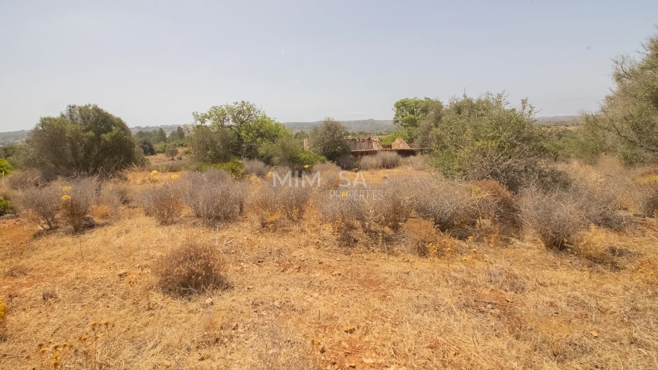 Terreno Misto para Venda em Luz Foto 7