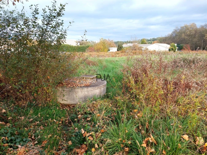 Terreno para Venda em Quintela de Azurara Foto 4