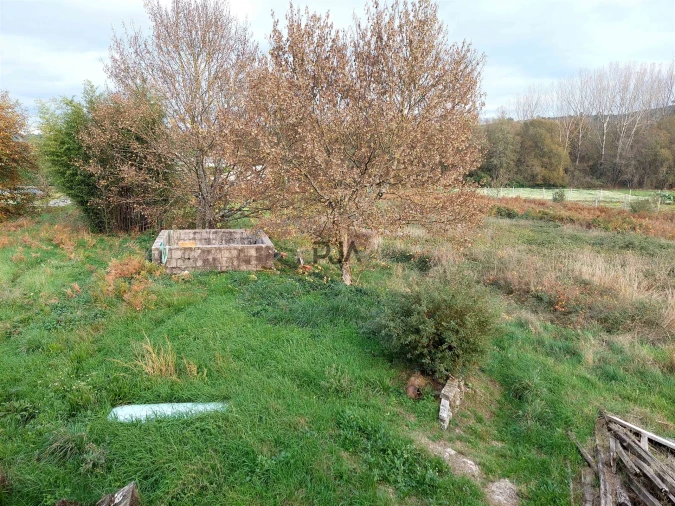 Terreno para Venda em Quintela de Azurara Foto 3